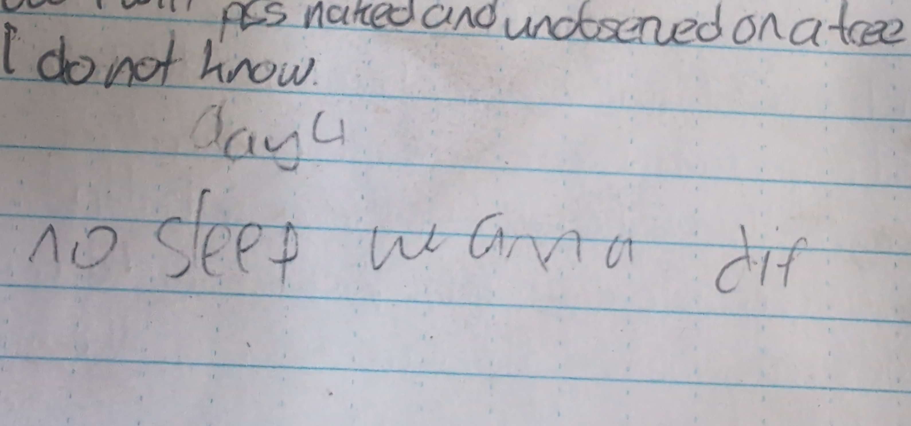 A handwritten diary entry: "Day 4 [sic] No sleep wanna die"